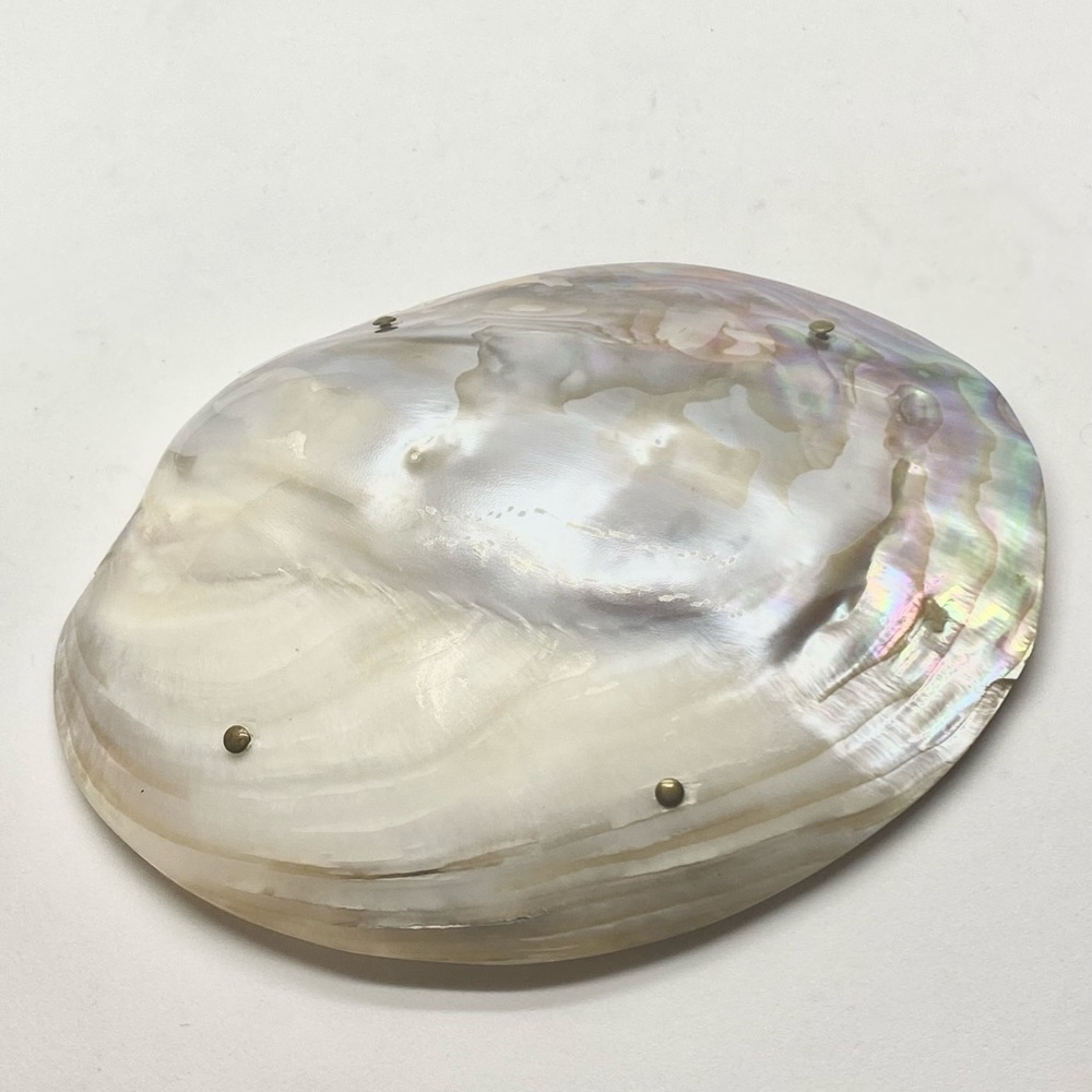 Incandescent Mother-of-pearl Shell buckle